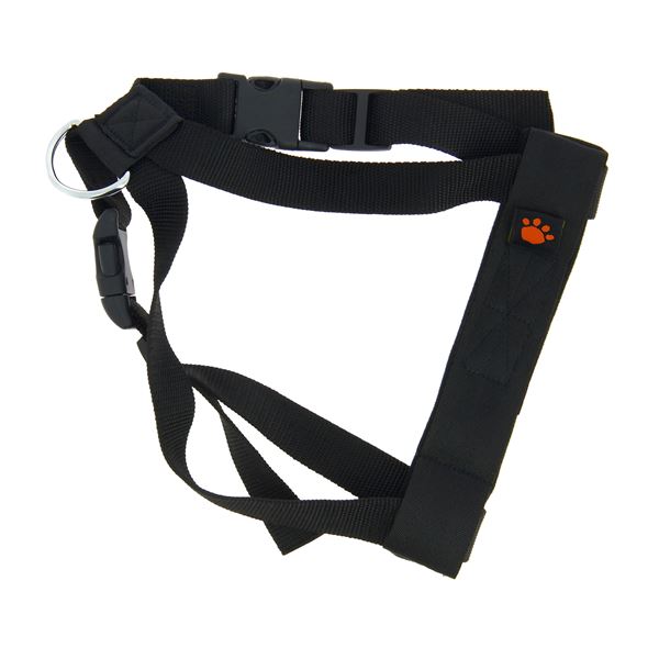 Harnais de sécurité promenade et transport pour chien