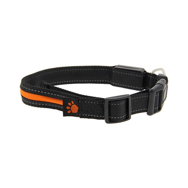 Collier chien lumineux led taille U
