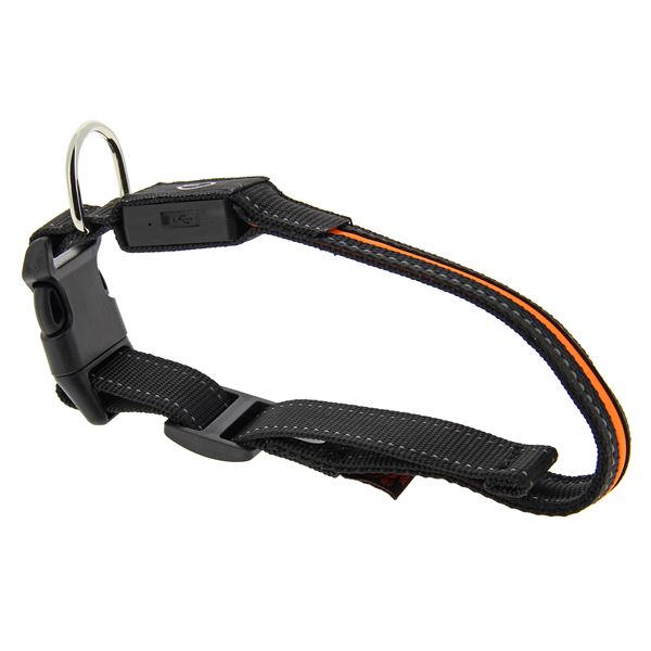 Collier chien lumineux led taille U