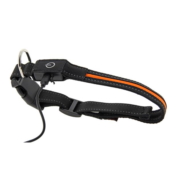 Collier chien lumineux led taille U