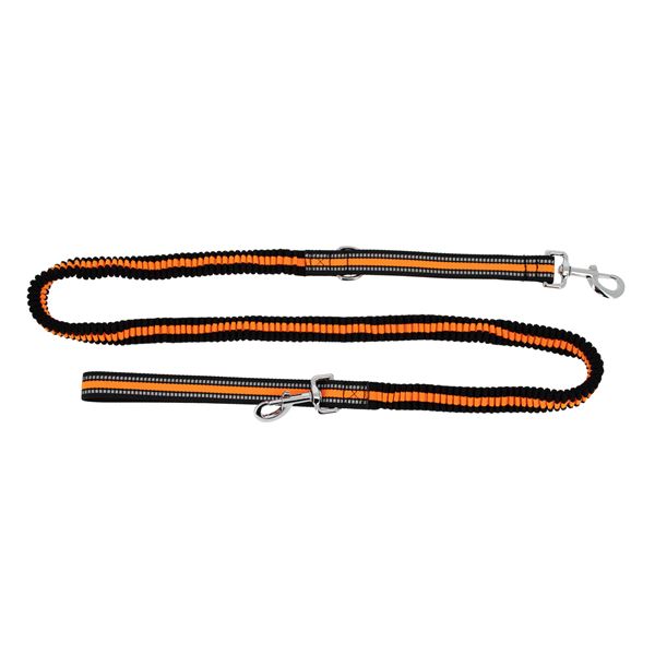 Laisse extensible de 1m à 3m