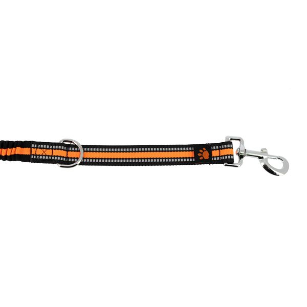 Laisse extensible de 1m à 3m