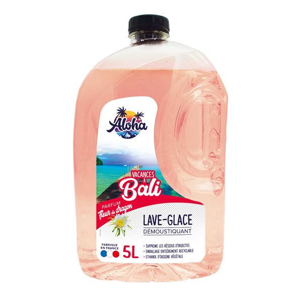 Lave-glace été Vacances à Bali ALOHA 5L