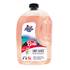 Lave-glace été Vacances à Bali ALOHA 5L