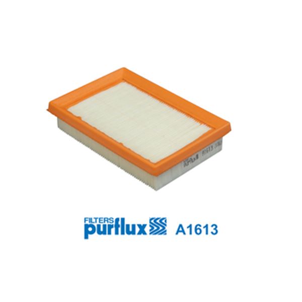 Filtre à air A1613 Purflux