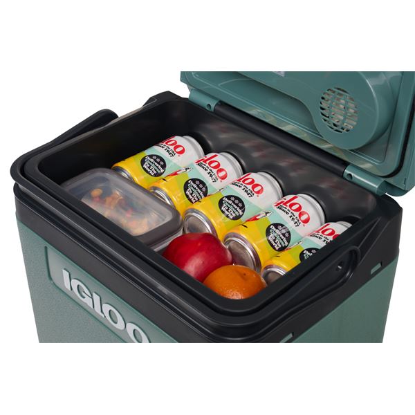 Glacière Thermoélectrique 12/230V 24L Igloo