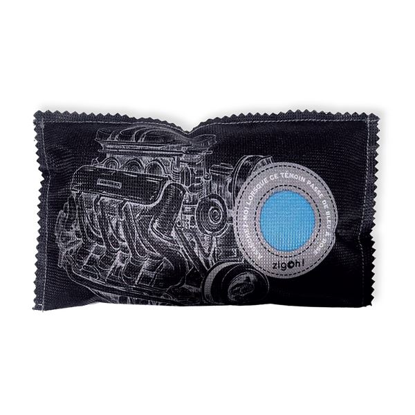 Déshumidificateur de voiture 400g ZIGOH Moteur