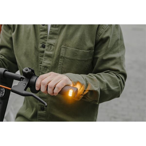 Trottinette électrique F2E Segway Ninebot