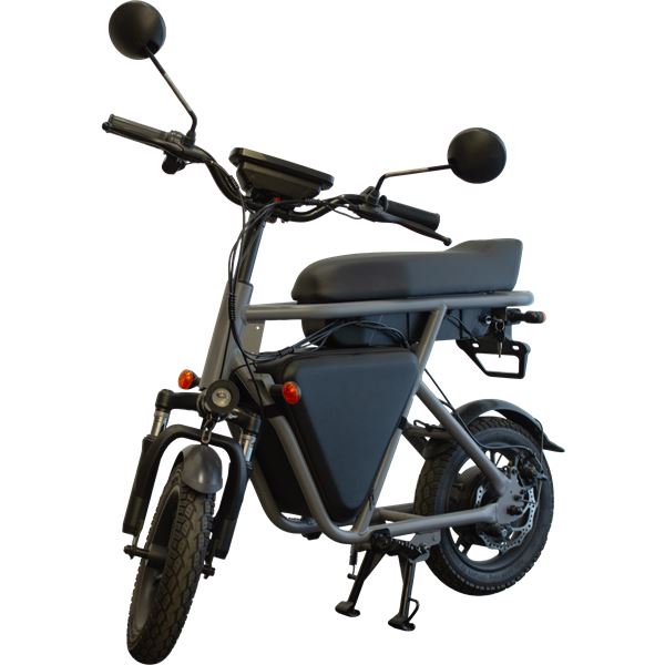 Sac de transport WIBAG pour WIMOB SCOOT WISPEED