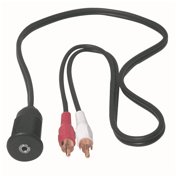 Jack audio du panneau RCA