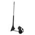 Antenne AM/FM amplifiee pour toit arriere Phonocar