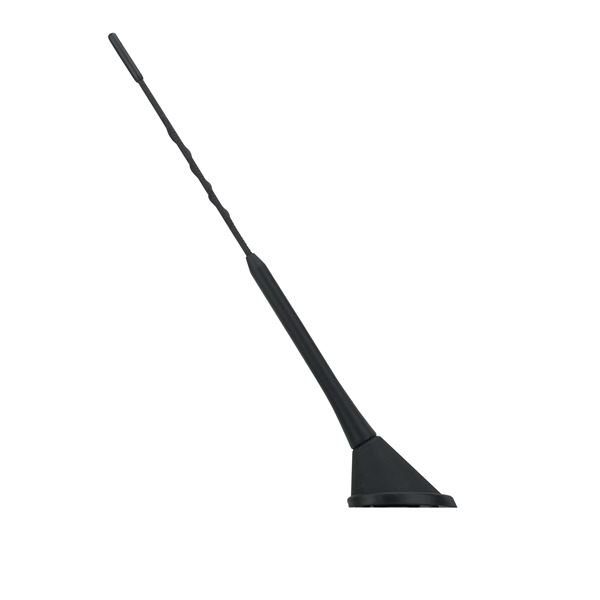 Antenne 33 cm AM/FM pour toit arrière Phonocar