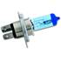 Ampoule Piaa Xtreme White Plus H1