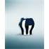 Pommeau de vitesse Momo Race Evo Chrome S