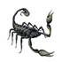 Sticker carrosserie car tattoo scorpion