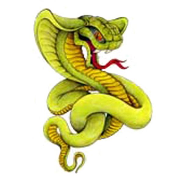 Sticker carrosserie tattoo cobra vert Cadox