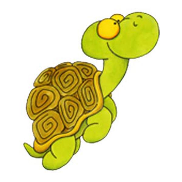 Sticker carrosserie tattoo tortue Cadox