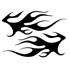 Sticker carrosserie flamings