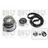 1 kit de distribution + 1 pompe à eau Quinton Hazell QBPK1041