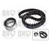 1 kit de distribution Quinton Hazell QBK158