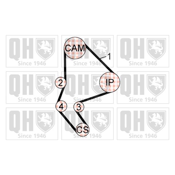 1 kit de distribution Quinton Hazell QBK244