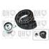 1 kit de distribution Quinton Hazell QBK358