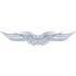 Sticker carrosserie tattoo tribal argent Cadox