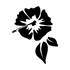 Sticker carrosserie hibiscus noir Cadox