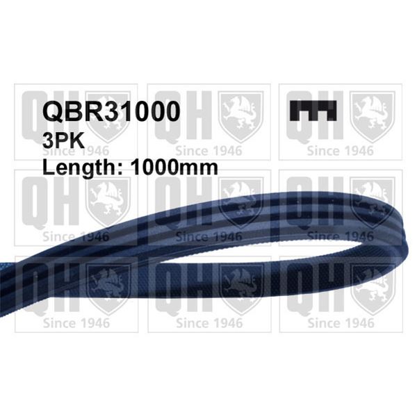 1 courroie d'entrainement Quinton Hazell QBR31000