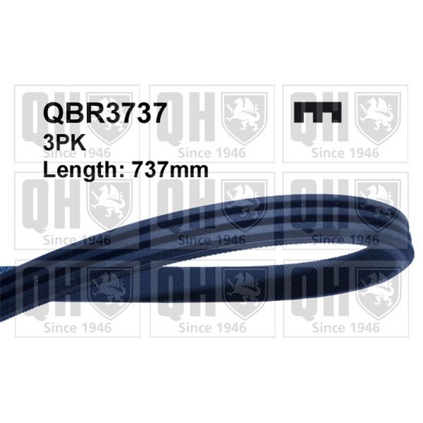 1 courroie d'entrainement Quinton Hazell QBR3737