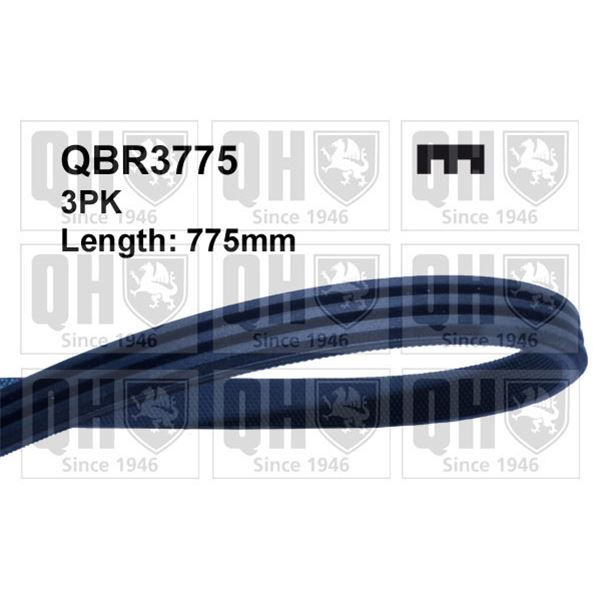 1 courroie d'entrainement Quinton Hazell QBR3775
