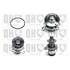 1 pompe à eau Quinton Hazell QCP3067