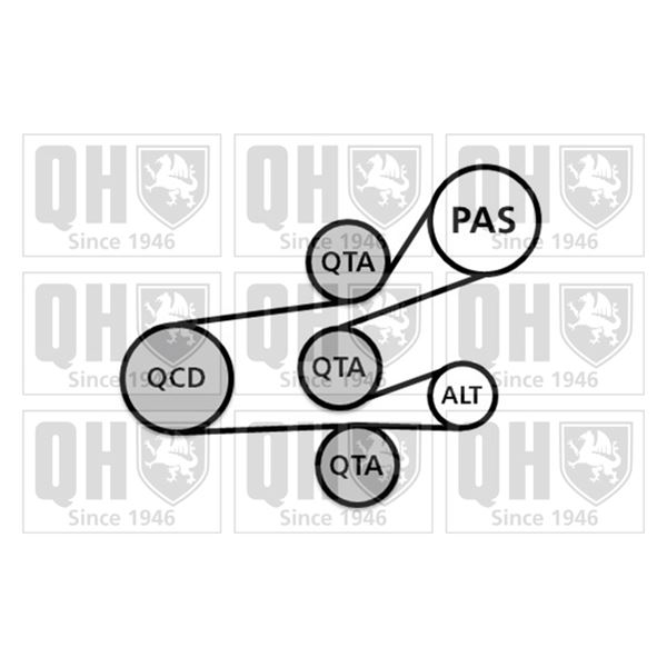 1 kit d'entrainement Quinton Hazell QDK26