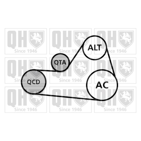 1 kit d'entrainement Quinton Hazell QDK68
