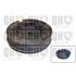 1 poulie d'amper Quinton Hazell QCD5