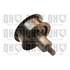 1 galet de distribution Quinton Hazell QTT903