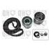 1 kit de distribution Quinton Hazell QBK303