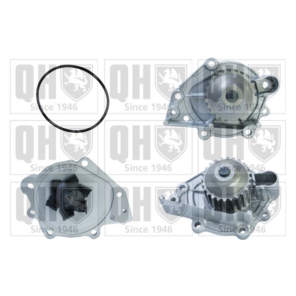 1 pompe à eau Quinton Hazell QCP3553