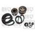 1 kit de distribution Quinton Hazell QBK308