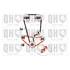 1 kit de distribution Quinton Hazell QBK489