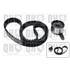 1 kit de distribution Quinton Hazell QBK596