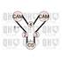 1 kit de distribution Quinton Hazell QBK721