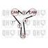 1 kit de distribution Quinton Hazell QBK738