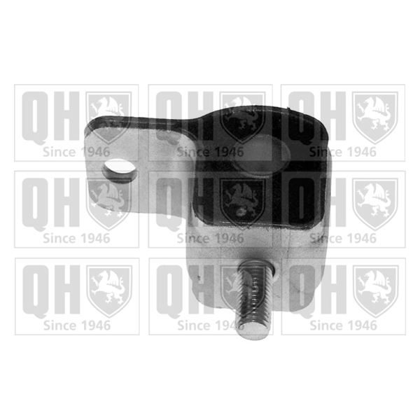 1 silentbloc de suspension Quinton Hazell EMS1993
