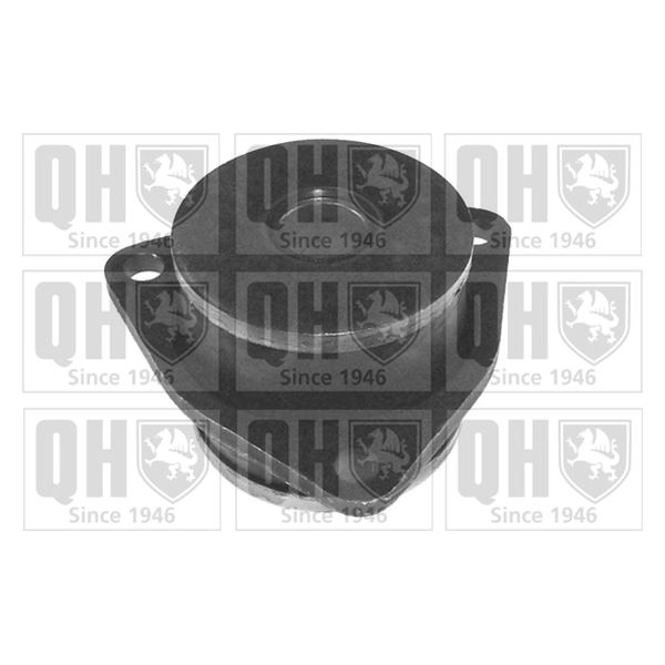 1 silentbloc de suspension arrière Quinton Hazell EMS3013