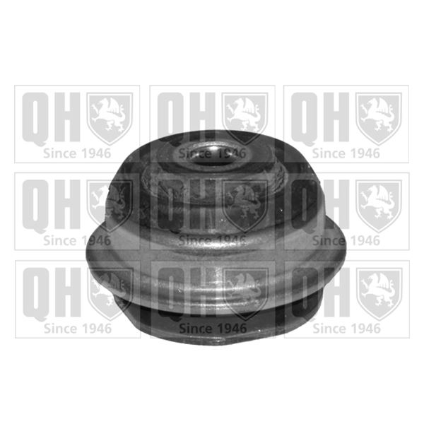 1 silentbloc de suspension arrière Quinton Hazell EMS4091