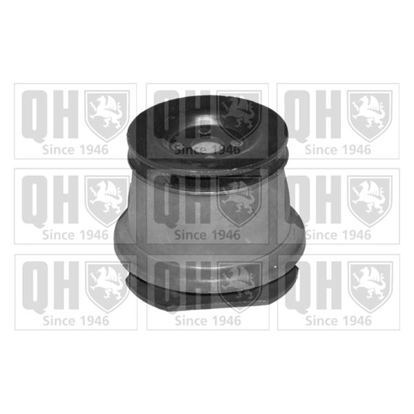 1 silentbloc de suspension arrière Quinton Hazell EMS4092