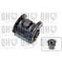 1 silentbloc de suspension droit Quinton Hazell EMS8008