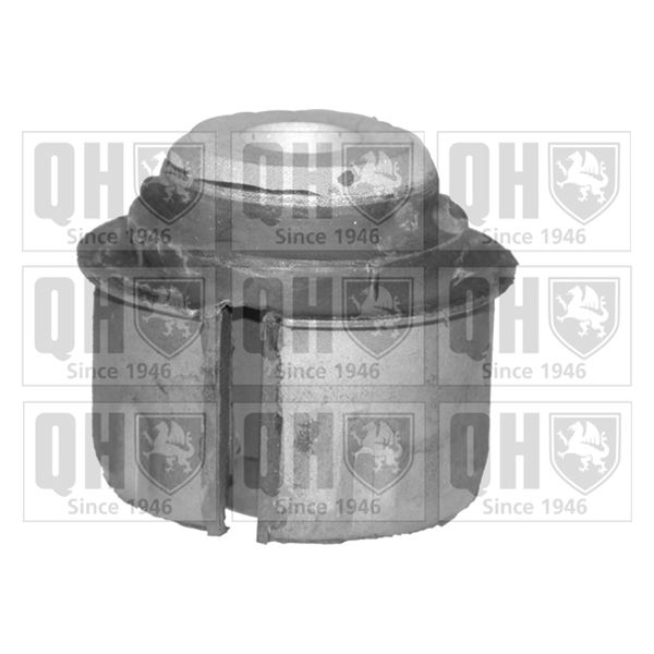 1 silentbloc de suspension Quinton Hazell EMS8114