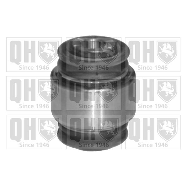 1 silentbloc de suspension arrière Quinton Hazell EMS8133
